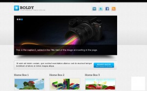 Boldy Free WordPress 3.0 Themes | wpthemesbest.com